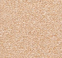 Ковролин Radici Trotter Vaniglia 2420 фото 1 | FLOORDEALER